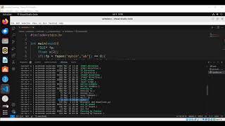 Write Binary Data With Streams On Linux in C