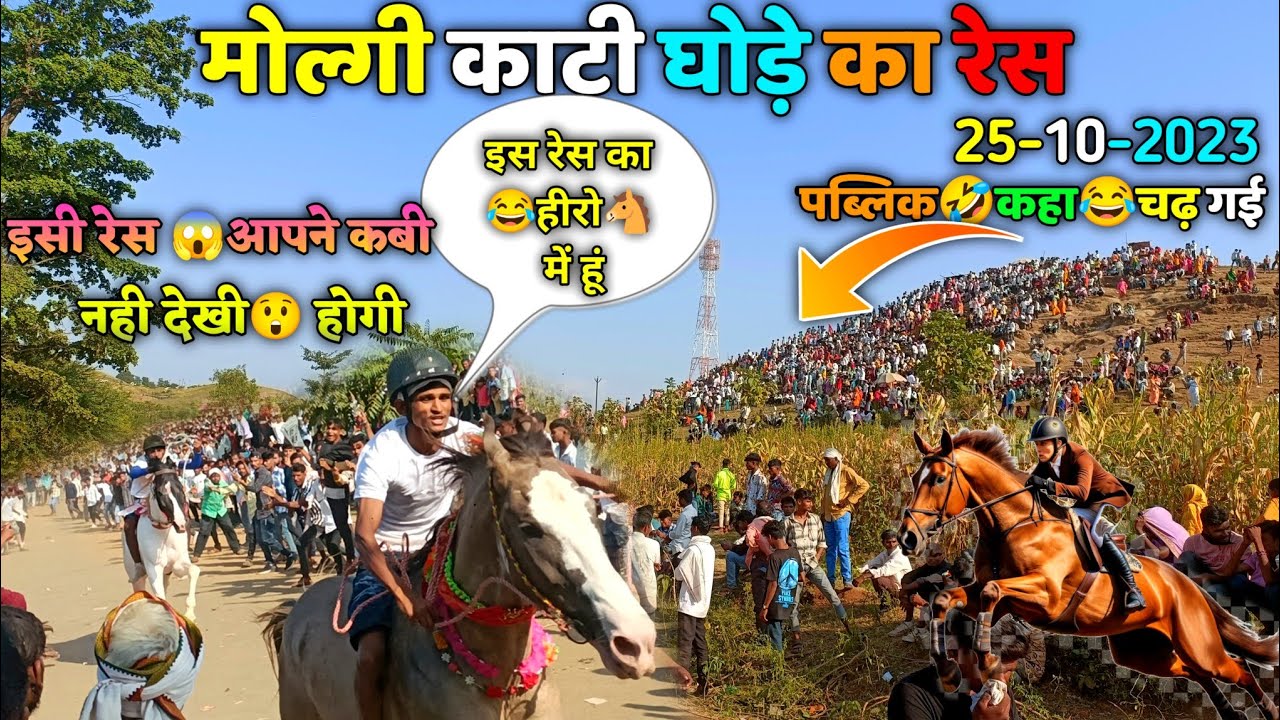 एसी रेस 🏇आपने कभी 😱नही देखी होगी।😂 पब्लिक कहा चढ़ गई 🤣।at,molgi काटी रेस