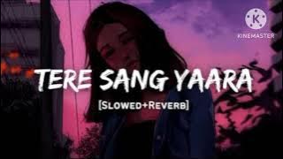 Tere sang yaara song slowed reverb song lyrics Akshay Kumar new song #explore #explorepage#viralsong