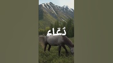 قران كريم#قران #قران #قران_كريم #صلوا_على_النبي #راحه نفسيه#اذكروا الله