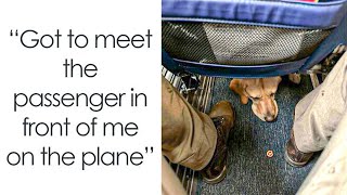 Passengers Aboard Planes Were Caught In Adorable Moments By People (New Pics)