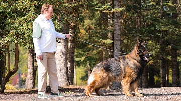 Welcoming Our Most Impressive Black and Red Yet at Kraftwork K9 Pro!