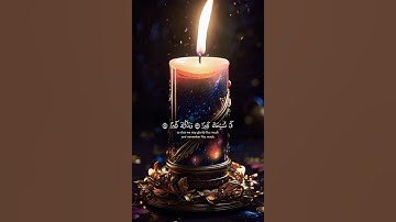 #القرآن_الكريم #اكسبلور #المصحف #راحة_نفسية #تلاوة_خاشعة #لايك #تيك_توك #quran