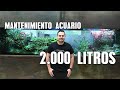 MANTENIMIENTO ACUARIO DE 2000L!!!