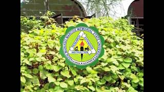 DMMMSU Hymn instrumental