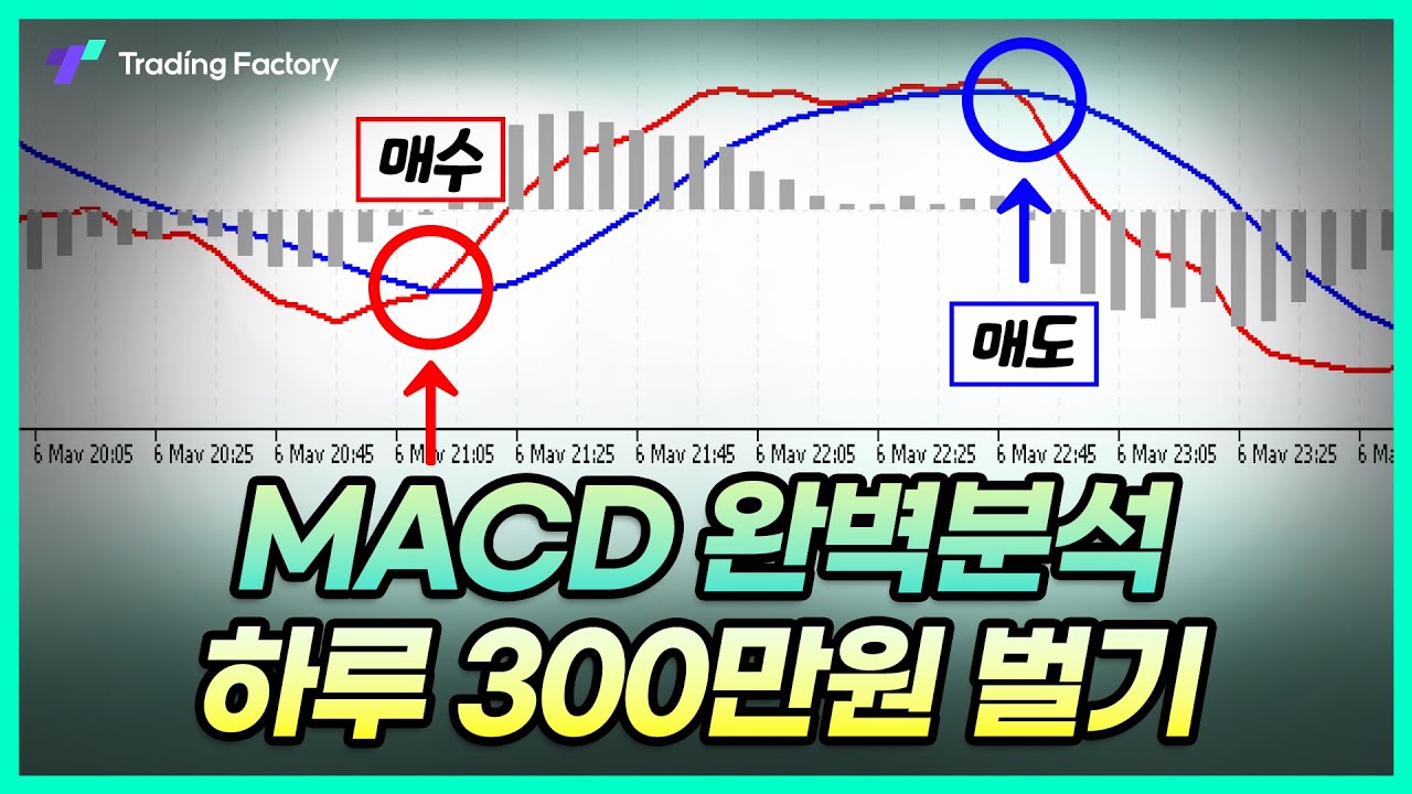 내게 매월 억을 벌어준 MACD 매매법