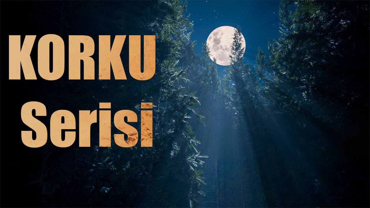 HAFTALIK KORKU SERİSİ! | YAŞANMIŞ KORKU HİKAYELERİ | PARANORMAL HİKAYELER
