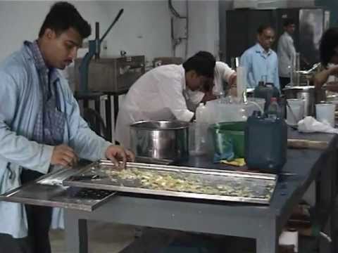 food scientist job description