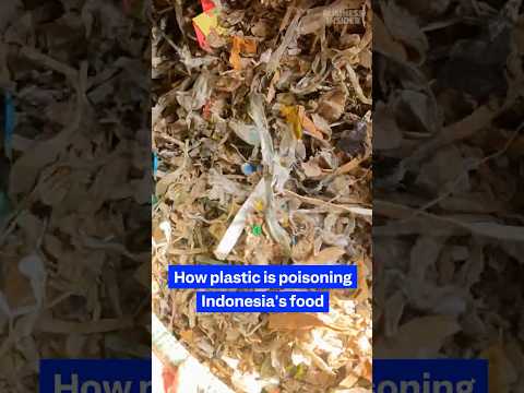 Thumbnail: Indonesia's #food is being poisoned by #plastic. Here's why. #microplastics #environment
