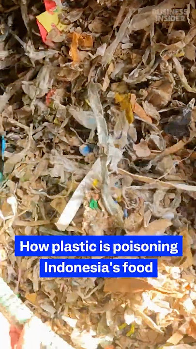 Indonesia's #food is being poisoned by #plastic. Here's why. #microplastics #environment