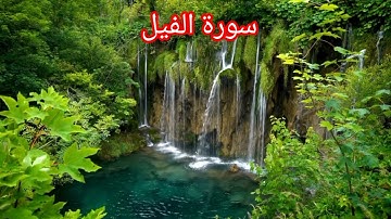 سورة الفيل.       القارئ    عثمان مشعل الحداد