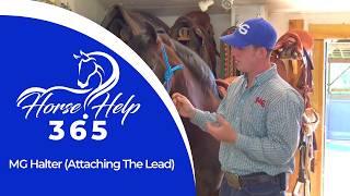 MG Halter (Attaching The Lead) | Horse Help - Michael Gascon