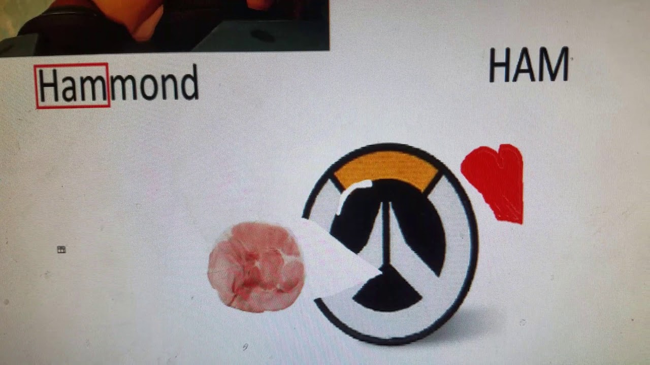 Why Overwatch Loves Hammond In A Nutshell | Season 3 Episode 3 | In A Nutshell