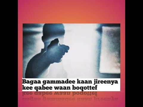 Bagaa Gammadee Iciti Milkaainaa Baru Keetii Atillee Ni Milkooftaa