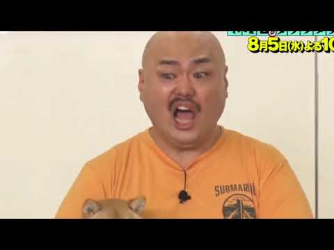 発狂するクロちゃんで龍騎OP