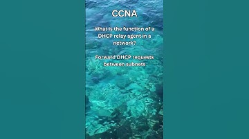 CCNA Test Prep Q&A