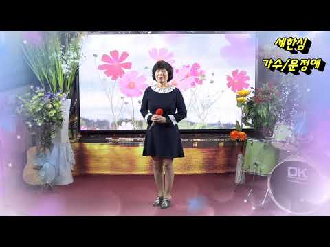 세한심/가수 문정애(타이틀곡)