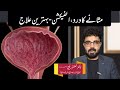 Urinary bladder pain&amp; Infection |Best Treatment |Urologist |Dr Ghazanfar #masana #infection #pain 