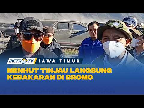 Menhut Pastikan Operasi Pemadaman Bromo Terus Berlanjut