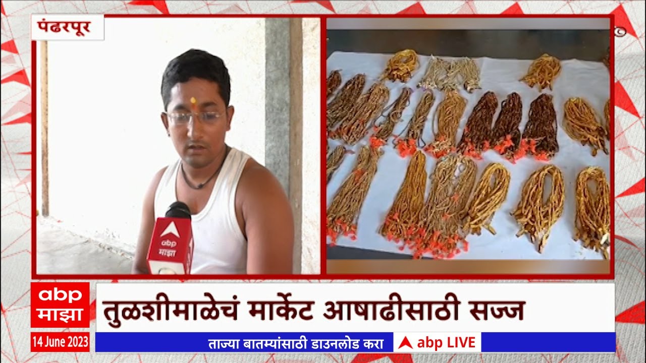 Pandharpur Tulshimaal : कशी ओळखाल खरी तुळशीमाळ? मार्केट आषाढीसाठी सज्ज