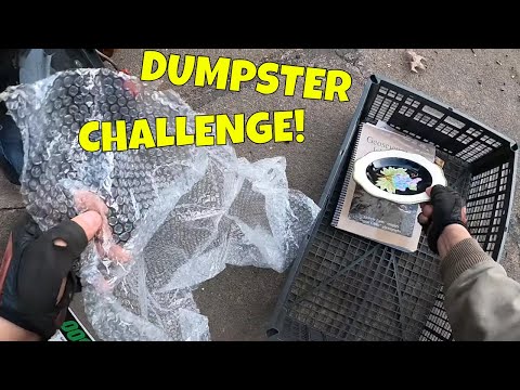 Walmart Groceries DUMPSTER DIVE Challenge!