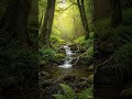 Forest Stream Meditation 🕊️ Calm Water Sounds &amp; Birds Singing