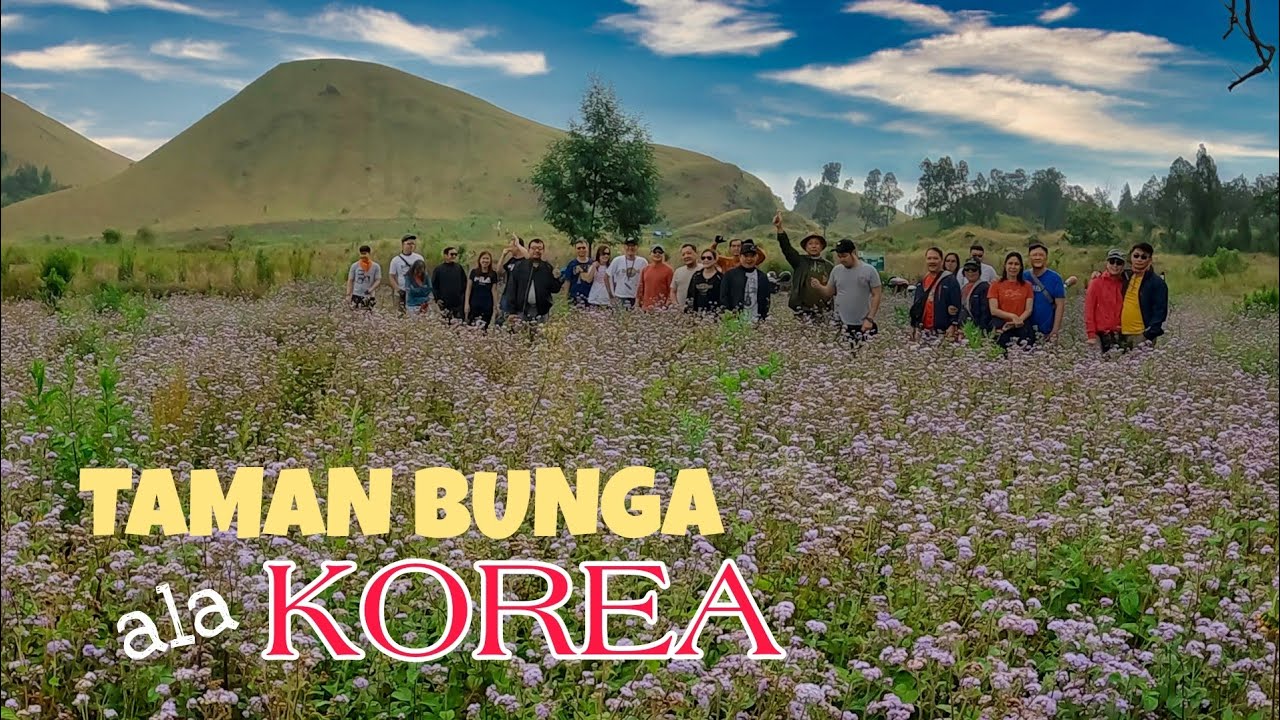 gastipistipis ke Taman Galuh Bondowoso - taman bunga ala Korea  #ijengeoparkbondowoso #ijenbondowoso