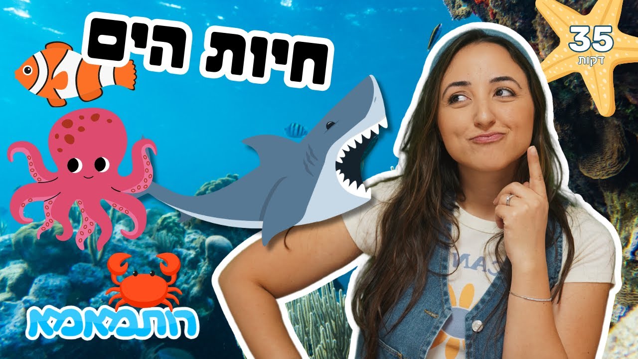 לומדים על חיות הים עם רותמאמא 🌊🐬 | שירים, צבעים והפתעות לקטנטנים | חיות לילדים