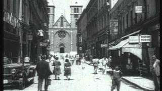 Capital City Crew (Gugo) - Sarajevo