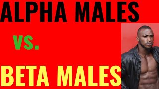 Alpha Male Vs. Beta Male [ Explained ]