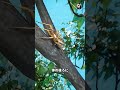 決してそれを殺さないでください 🤯