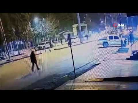 Sokak köpeklerinden kaçarken kamyonet çarptı: Kaza anı kamerada