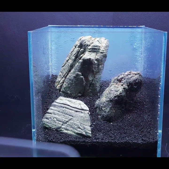 How to Build a Nano Iwagumi Aquarium | #aquascape #aquarium #aquariumhobby