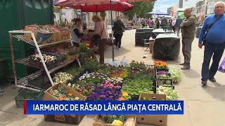 Iarmaroc de răsad lângă piața centrală