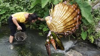 Great The Green Clams In The Rapids Give Birth To Priceless Pearls