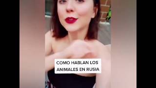 Tik toks de Ale Ivanova una rusa en México @aleivanovastyle