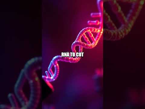 CRISPR Sparks and Graphene Futures