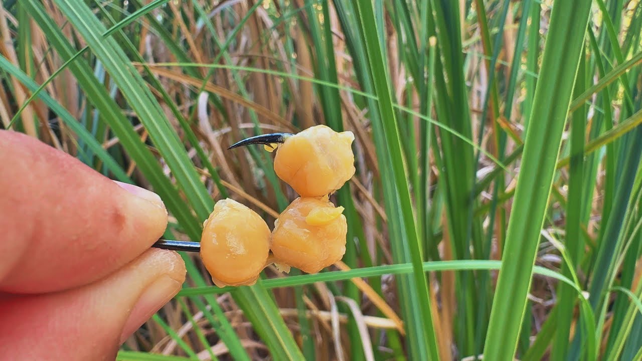 Pescuit la pluta in prohibitie cu naut