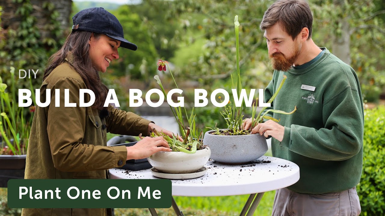 Bog Planter Set — Carnivorous Plant Bog Kit for Beginners