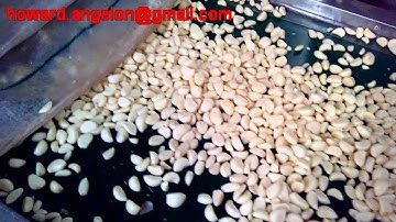 color sorter for peeled Garlic sorting