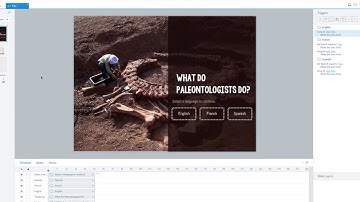 Articulate Storyline: Using Layers to Create One Course in Multiple Languages