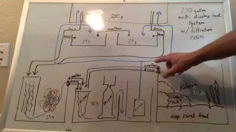 3 main displays all running off of 1 sump filtration behind the wall design