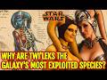 Biology and Culture of the Twi’lek Species - The Most Exploited People in the Galaxy - Explained