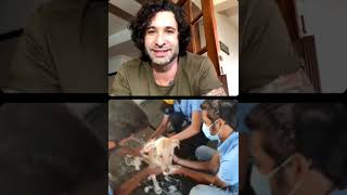 Live with Daniel Weber Sir for Animals.