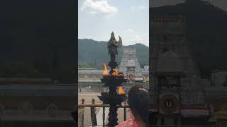 Tirumala Tirupati Balaji Darshan #ttd #hindutemple #travel #ssd #love