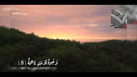 تلاوة خاشعة وآيات مباركة من سورة الغاشية📚/القارئ عبد الرحمن مسعد/حالات واتس أب