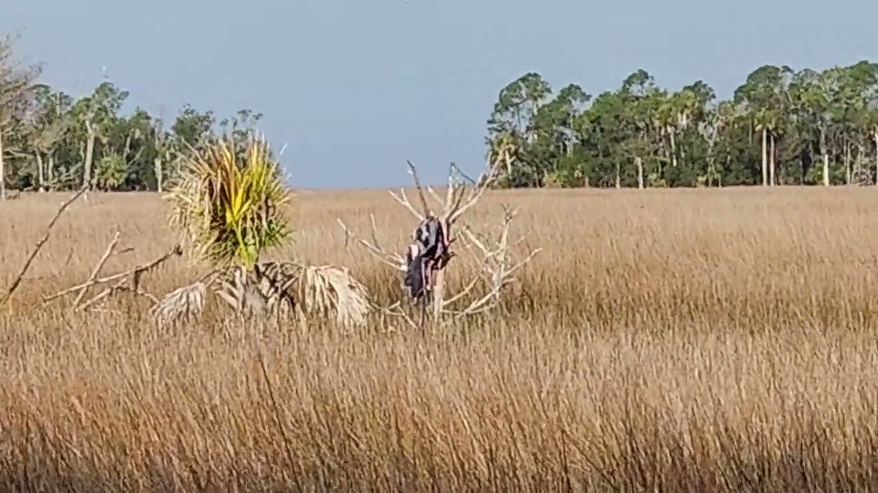 Econfina River State Park,Taylor,Co.FL. 👣