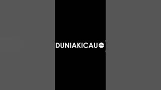 Lovebird  ngekek panjang durasi 1 menit up