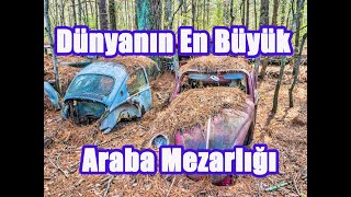 Dünyanın En Büyük Klasik Araba Mezarlığı - Camaro, Mustang ve Diğerleri