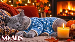 12 Hours of Soothing Cat Music🐱Relaxing Music for Anxiety Relief, Deep Rest💖Peaceful Sleep
